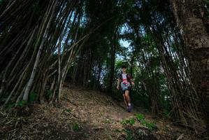 BIB: 
                            <button type="button" onclick="openModal(19395515)" class="btn btn-primary btn-sm float-right btn-popup" data-toggle="modal" data-target=".modal-high-quality">
                        <i class="fas fa-shopping-cart"></i> Add to Cart
                    </button>
                                            <button type="button" onclick="isThisMe(19395515, true)" class="btn btn-success btn-sm float-right btn-popup btn-isme hidden" data-toggle="tooltip" data-placement="bottom" title="นี่คือรูปของคุณใช่ไหม คลิกที่นี่เพื่อเอาเข้าอัลบั้ม">
                        <i class="fas fa-plus"></i> Add to album
                    </button>
                    <button type="button" onclick="isThisMe(19395515, false)" class="btn btn-warning btn-sm float-right btn-popup btn-isnotme hidden">
                        <i class="fas fa-ban"></i> Remove from album
                    </button>